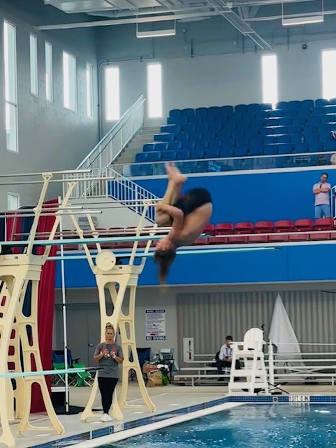 A person jumping over a bar in a gymDescription automatically generated
